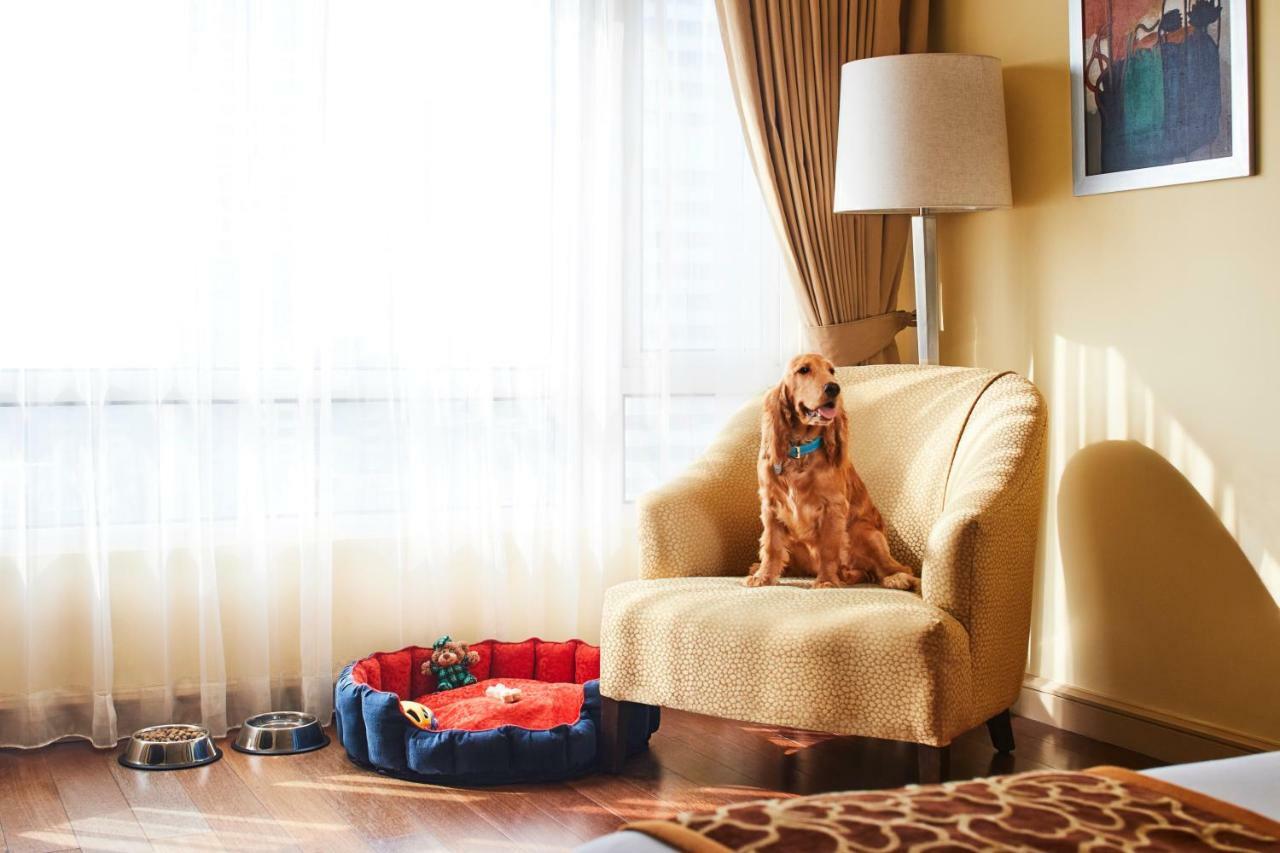 Отель President - Ihcl Seleqtions Мумбаи Экстерьер фото A dog in a hotel room
